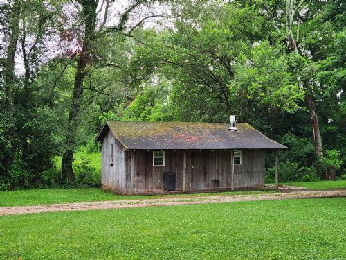 Lewis Auction